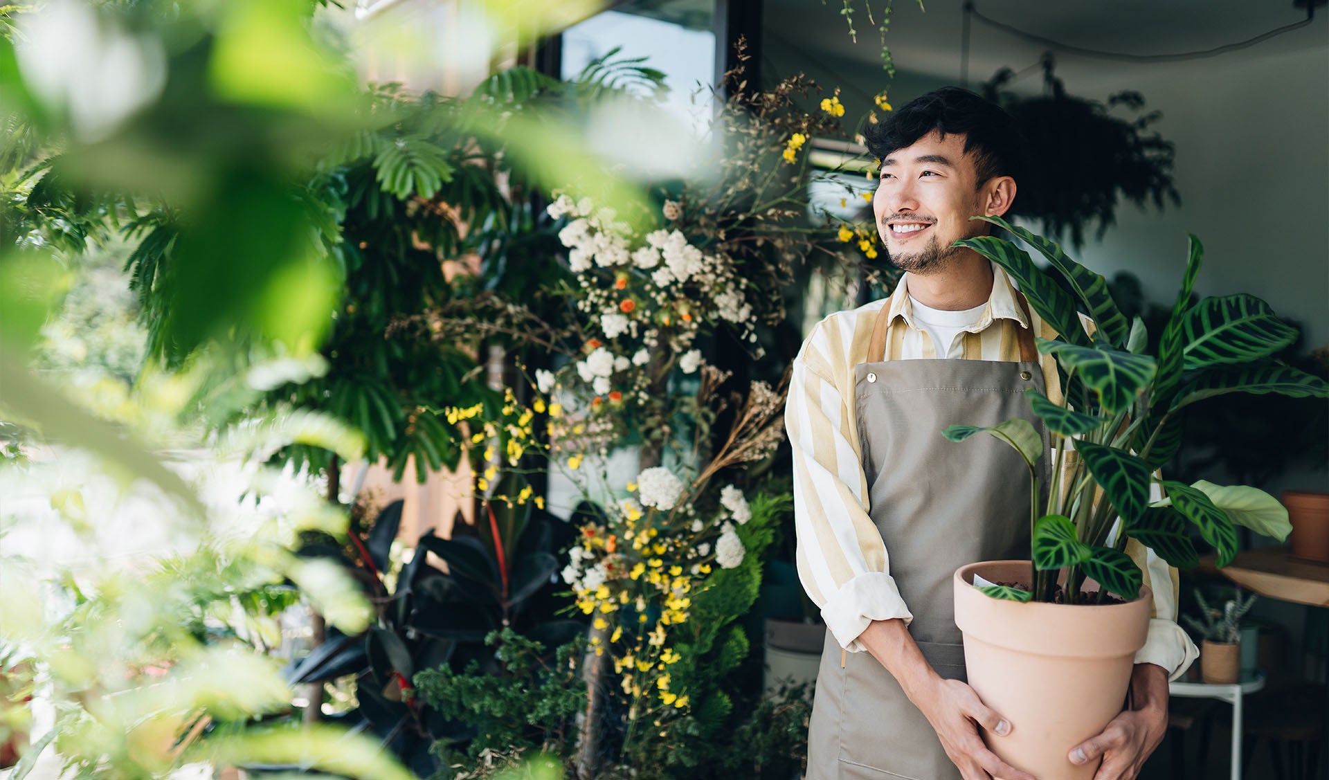 entrepreneur holding plant starting a successful business