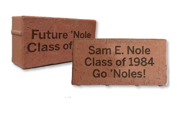 examples of brick types