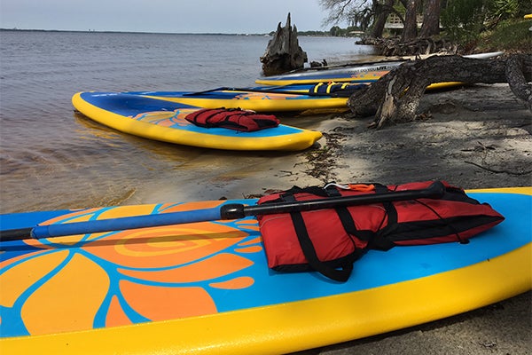 "paddle boards on beach"