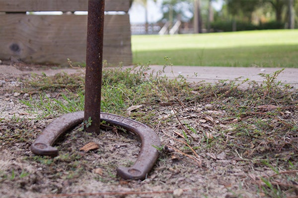 "closeup of horse shoe game"