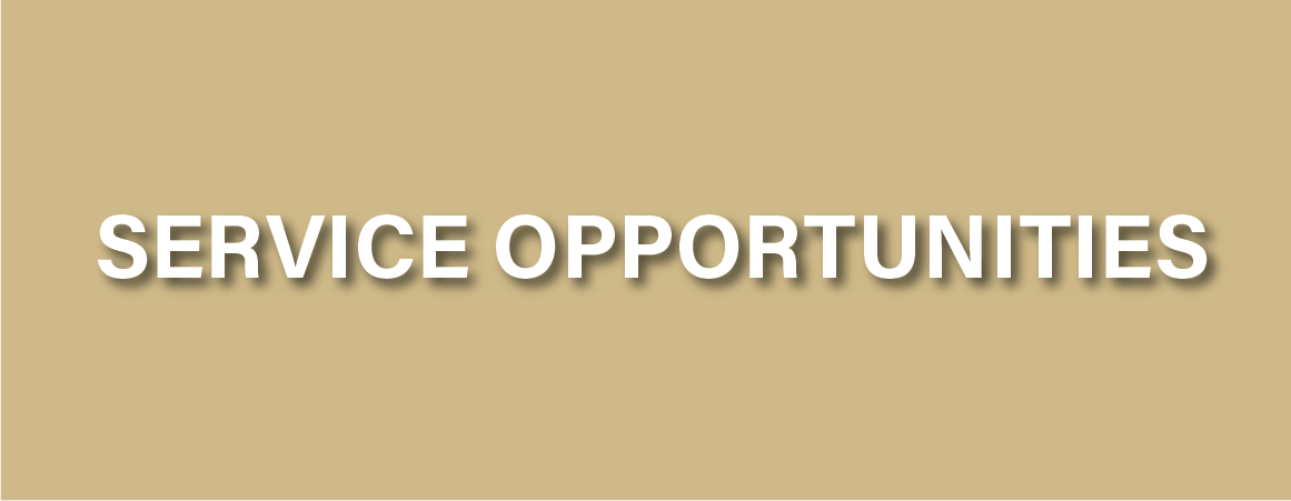 service opportunities banner graphic