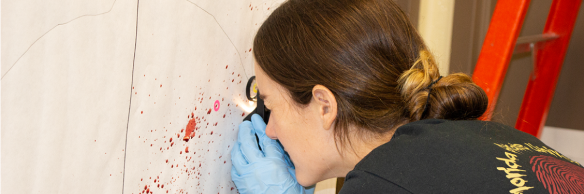 Student examining blood spatter patterns in lab