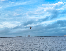 St Andrews Bay Estuary image