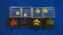 inductee pins