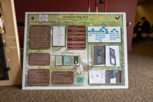 Automatic Dog Door Team project