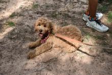Providence Canyon, GA