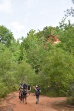 Providence Canyon, GA