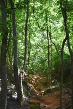Providence Canyon, GA