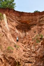 Providence Canyon, GA