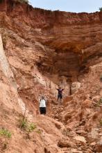 Providence Canyon, GA