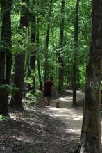 Providence Canyon, GA