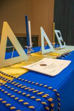 Delta Delta Epsilon cords and pins