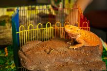 Science &amp; Discovery Center exhibitor