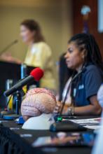 Human brain models for Dr. Susan Balk Kradel