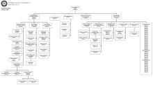 2020 Academic Organization Chart