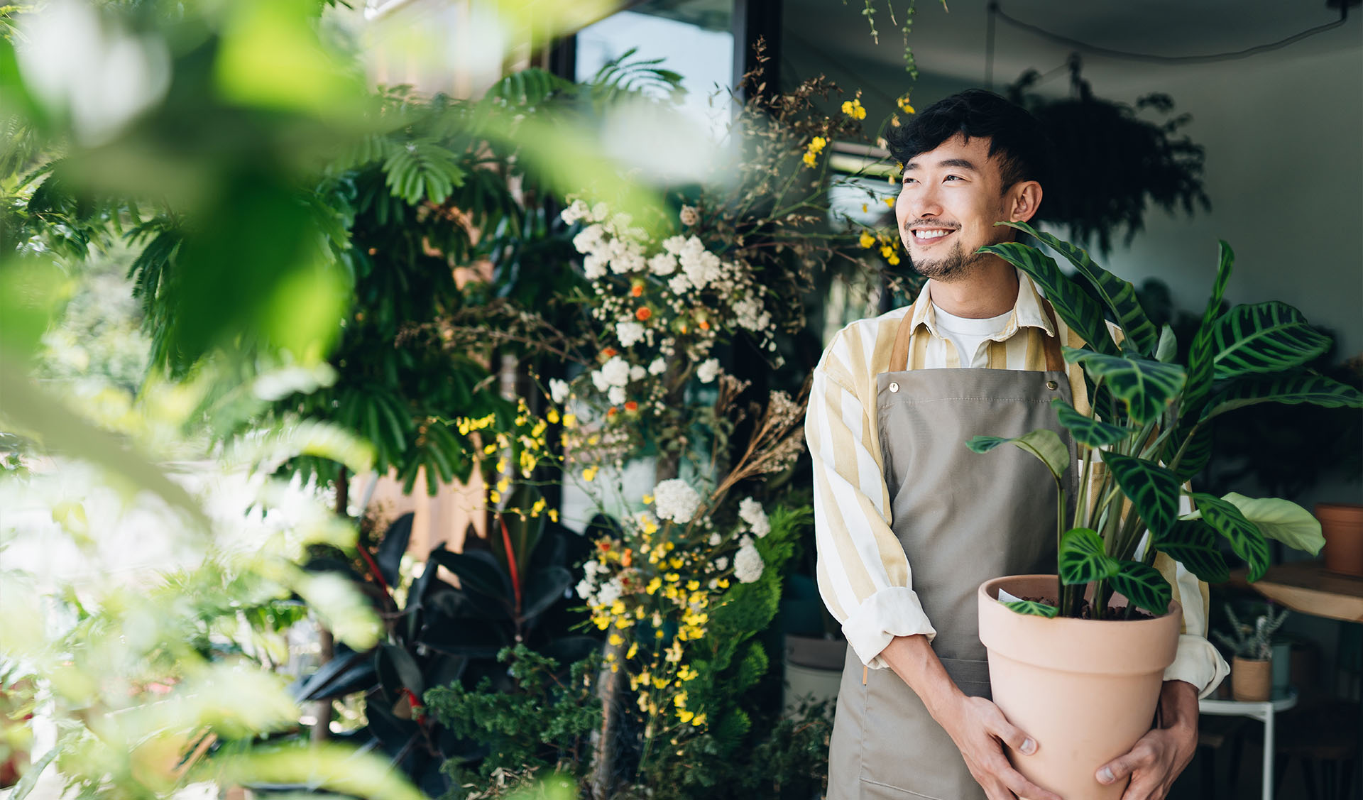entrepreneur holding plant starting a successful business