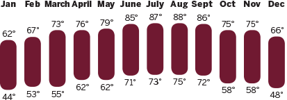 Bay County weather Statistics