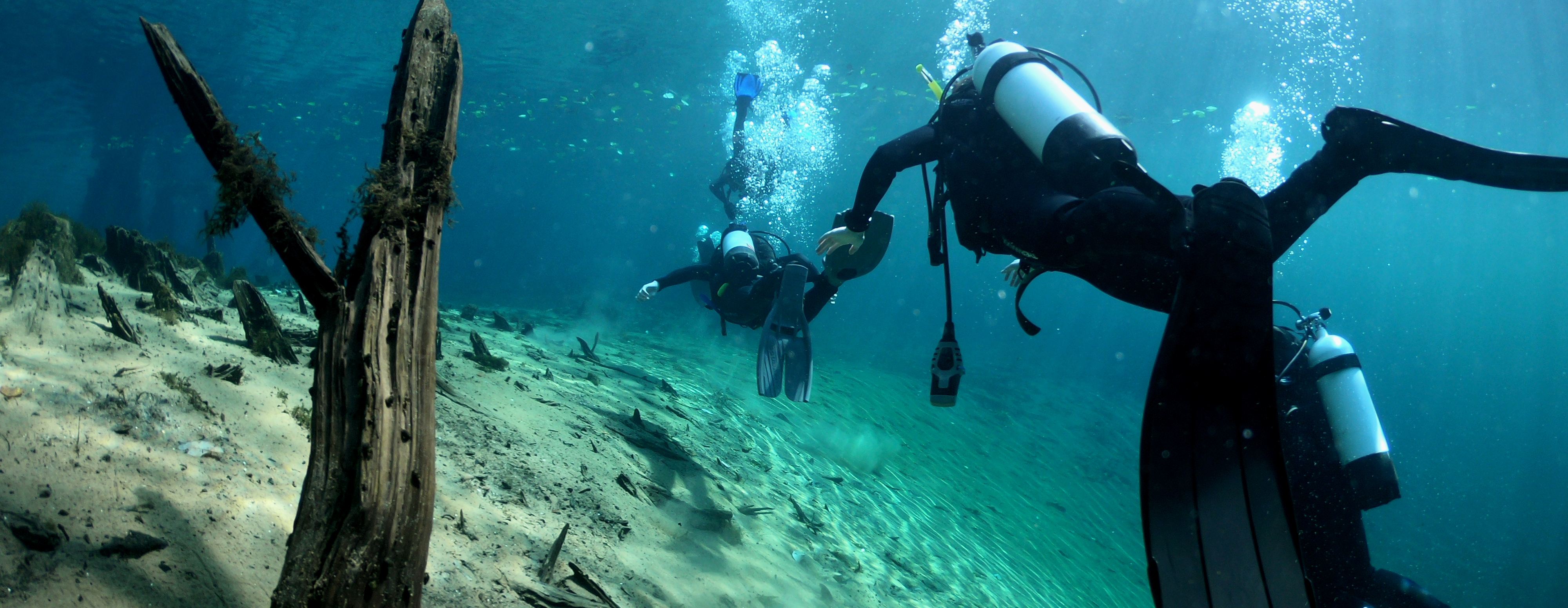 divers in clear water