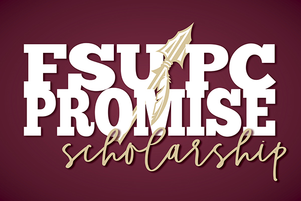 FSU Promise Scholarship link