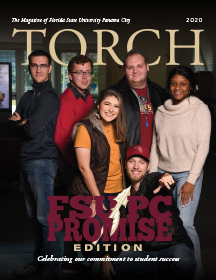 torch cover
