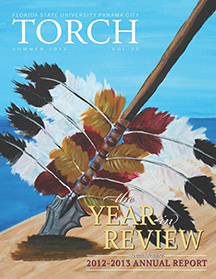 Ttorch cover