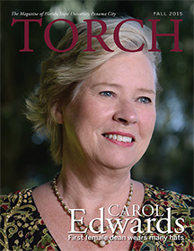 torch cover