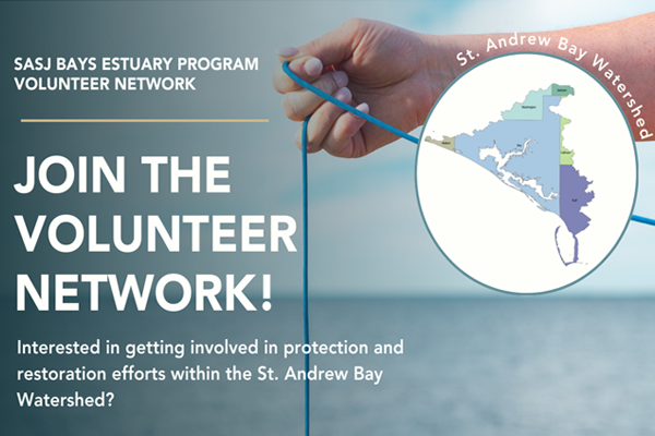 st andrews st joes bays estuary program graphic