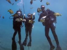 Vortex Springs dive for Intro to Underwater Investigation (ISC 3062-0002L)
