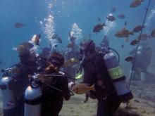 Vortex Springs dive for Intro to Underwater Investigation (ISC 3062-0002L)