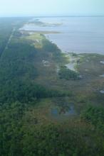 Aerial shot of marshes of St, Joe Bay