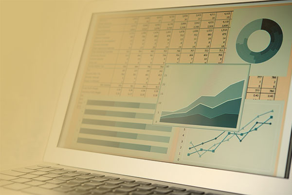 computer screen with tables, charts, and graphs