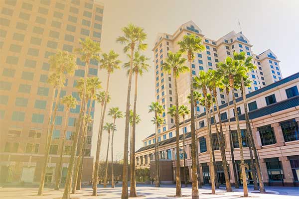 Graphic of trees and buildings in a city center.