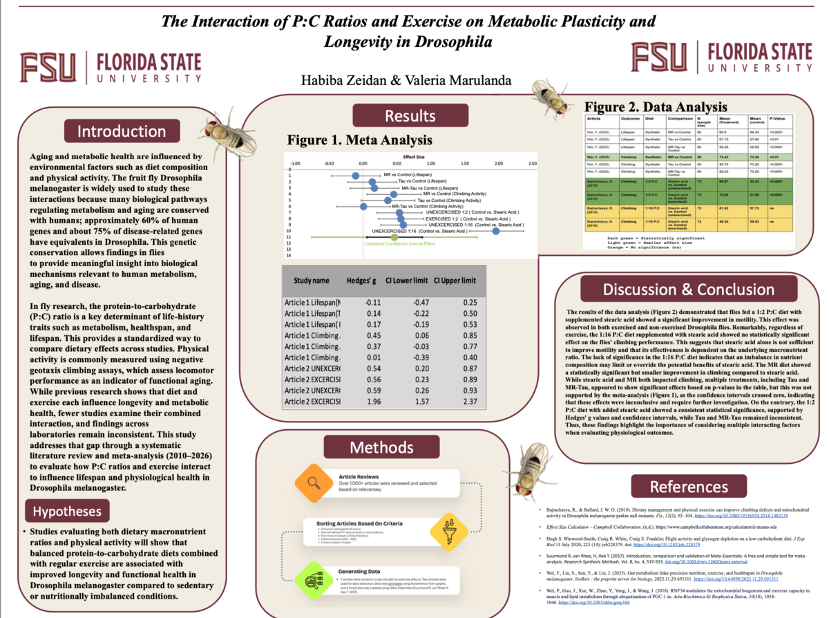 Screenshot 2026-03-31 at 10.36.54 PM.png