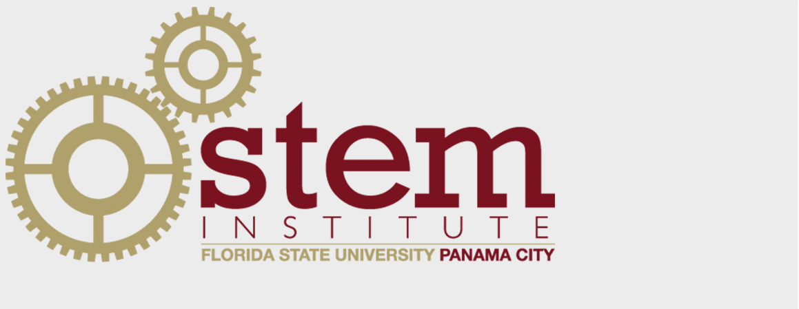Stem Institute Stem Institute